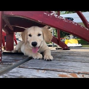 Meet your Posher, Lisa